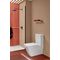 V&B WC-Sitz VENTICELLO m QC Relea. u S Clos. Funkt. stone white