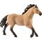 HC Quarter Horse Hengst