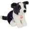 Border Collie Welpe sitzend, ca. 25 cm