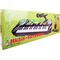 BGB Elektronisches Keyboard mit Mikrofon