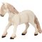 Elfenpony