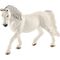 HC Lipizzaner Stute