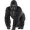 Gorilla Männchen