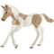 HC Paint Horse Fohlen