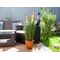 EUROPALMS Federgras, künstlich, rosé, 90cm