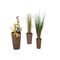 EUROPALMS Dekotopf-Set "INDIA" 74/54/44cm