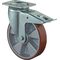 Schwerlastlenkrolle D.200mm Trgf.800kg m.Festst.Guß-PU 135mm 110mm BS ROLLEN