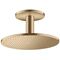 Kopfbrause 300 2jet AXOR Deckenmontage brushed bronze
