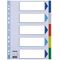 Esselte Register blanko 15259 DIN A4 5teilig PP h.blau/sortiert