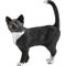 Katze, stehend