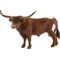 Texas Longhorn Bulle