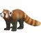 Roter Panda