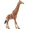 Giraffenbulle