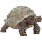 Riesenschildkröte