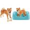 Shiba Inu Mutter und Welpe