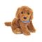 Goldendoodle sitzend, ca. 30 cm