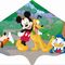 Einleinerdrachen Mickey