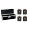 EUROLITE Set 4x AKKU TL-3 QCL RGB+UV Trusslight + Case