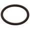 HG O-Ring 34x3mm