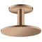 Kopfbrause 250 1jet AXOR Deckenmontage brushed red gold