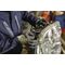 Handschuh OPTIMATE Gr.7 grau/schwarz EN 420/EN 388 PSA II OPTIFLEX - VPE: 12
