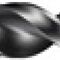 Tieflochspiralbohrer DIN/ANSI Typ W D.4mm HSS-E 10xD DORMER
