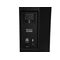 OMNITRONIC AZX-212A 2-Wege Top aktiv 250W
