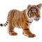 Tigerjunges