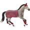 Trakehner Stute Reitturnier