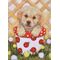 DIAMOND DOTZ Welpe im Topf 30x42 cm