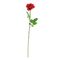 EUROPALMS Rose, Kunstpflanze, rot