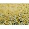 EUROPALMS Goldkugelkaktus, Kunstpflanze, 37cm