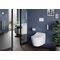 TOTO RX Washlet Dusch-WC ewater+ für RP Wand-WC CW542ERY we