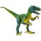 Velociraptor