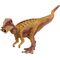 Pachycephalosaurus
