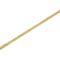 EUROLITE LED Strip 1600 COB 5m 4000K 24V