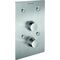 Schell Wandeinbau-Dusche LINUS B D-SC-T Selbstschl. Therm. Frontplatte Edelstahl