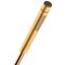 Stabhandbrause 2jet AXOR STARCK X DN 15 brushed gold optic