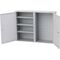 Hängeschrank H750xB1000xT200mm Vollblechtüren Stahlbl.lichtgrau/lichtgrau BEDRUN