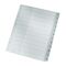 Leitz Register 12820000 DIN A4 1-12 Polypropylen grau