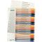 Leitz Register 12960000 A4 PP-Folie PC-beschriftbar 1-20 tr