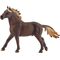 Mustang Hengst