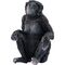 Bonobo Weibchen
