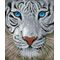 DIAMOND DOTZ Weißer Tiger 42x34 cm