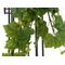 EUROPALMS Weinbuschranke Premium, künstlich, 50cm