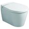 Geberit WC-Sitz VISIT m De abnehmbar mit Absenkautomatik weiß