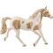 HC Paint Horse Stute