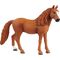 Deutsches Reitpony Stute