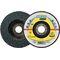Fächerscheibe SMT 624 Supra D.125mm K.40 12Grad kon.INOX ZK - VPE: 10