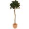 EUROPALMS Lorbeerkugelbaum, Kunstpflanze, 180cm